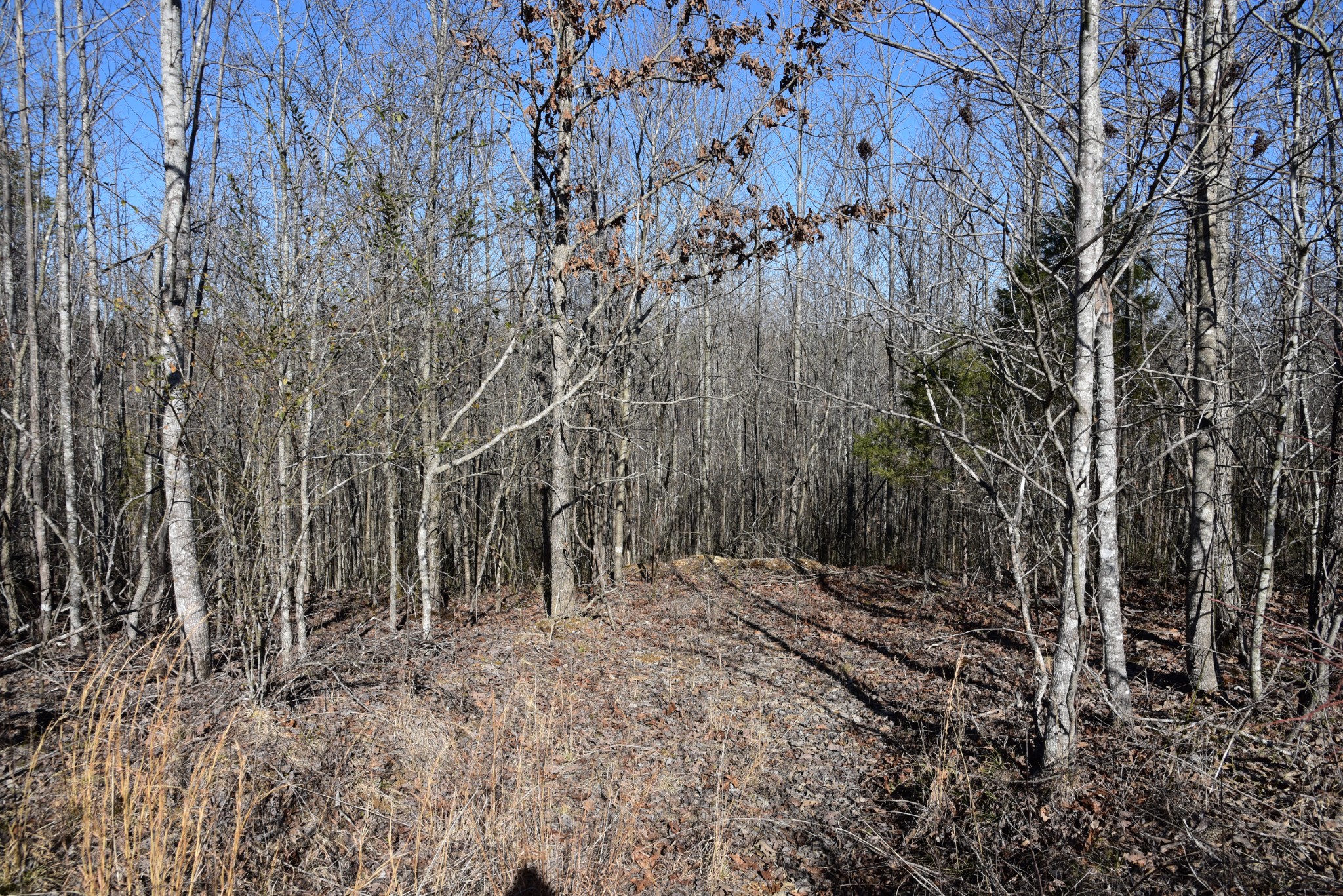 0 White Oak Rd Property Photo 22