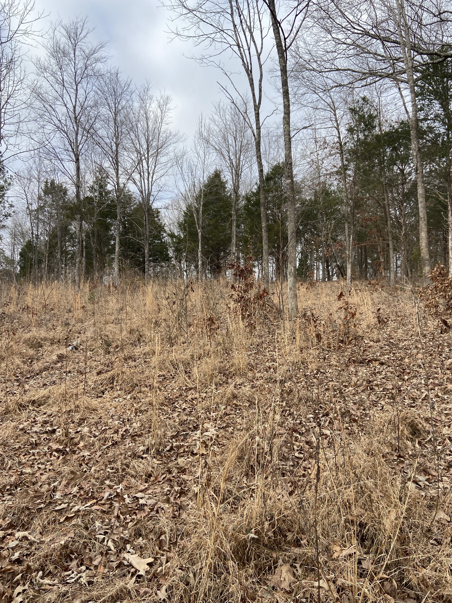 0 New Road Property Photo 2