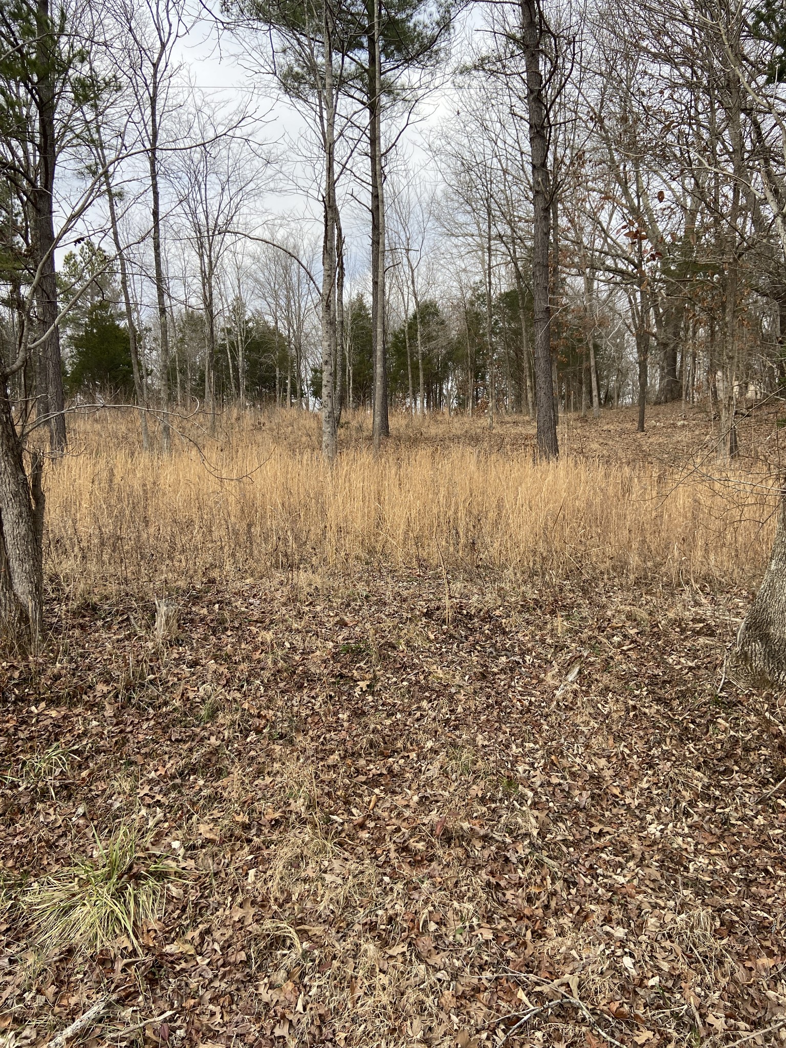 0 New Road Property Photo 3