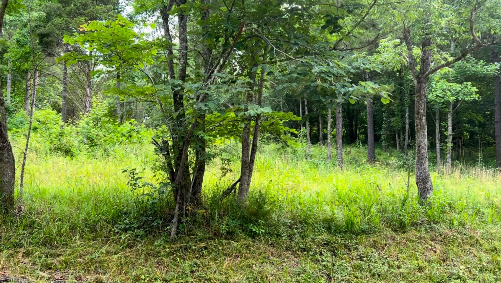 0 New Road Property Photo 6