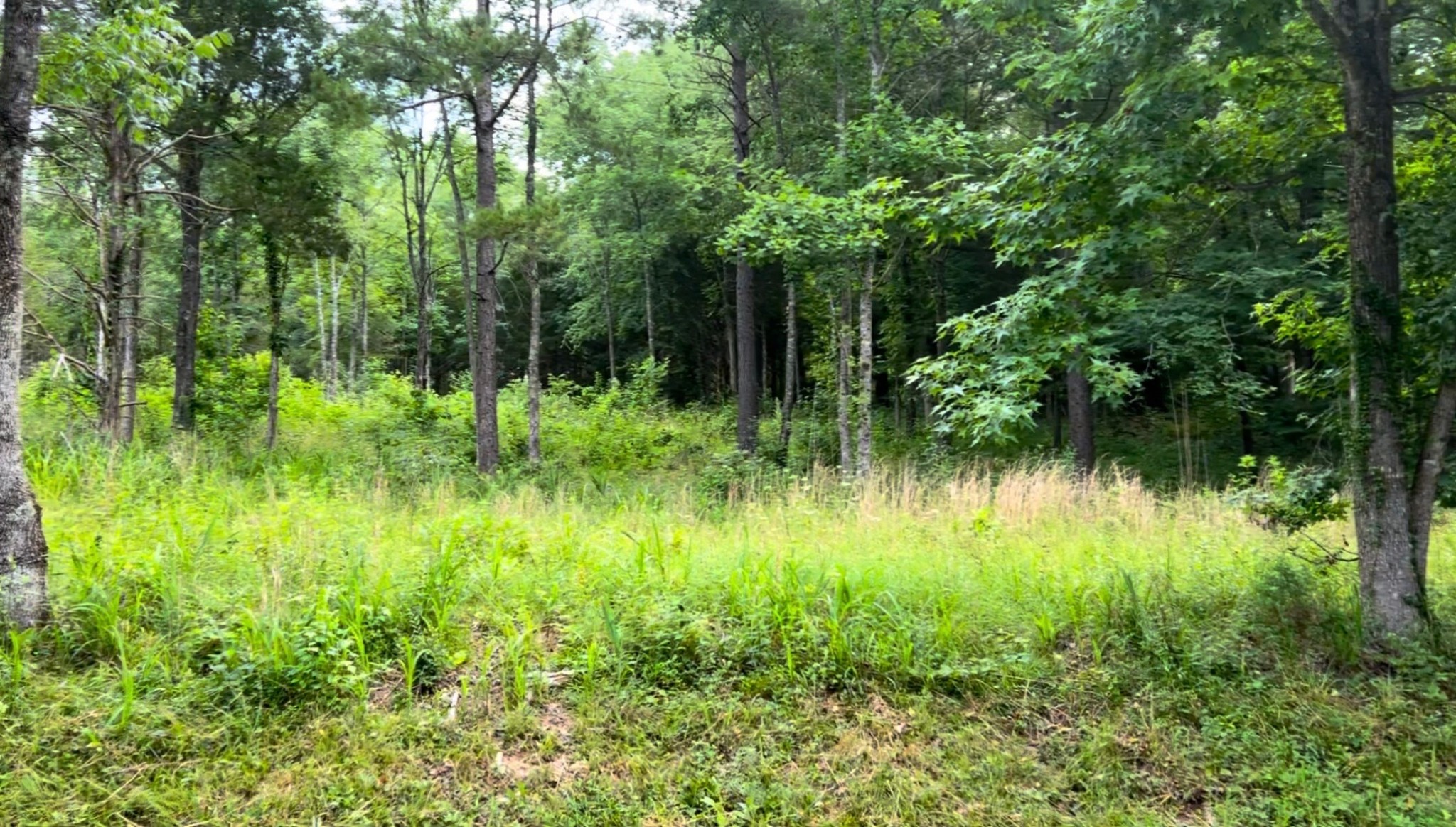 0 New Road Property Photo 7
