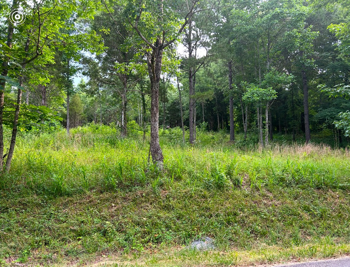 0 New Road Property Photo 9
