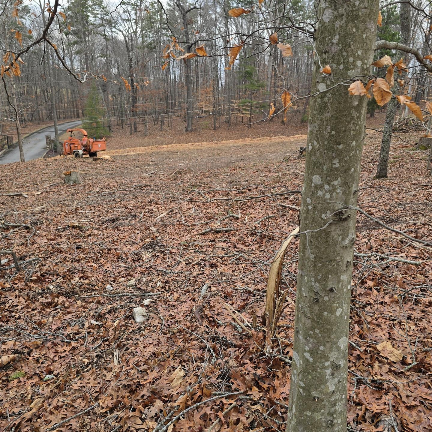 13316 Bellacoola Road Property Photo 7
