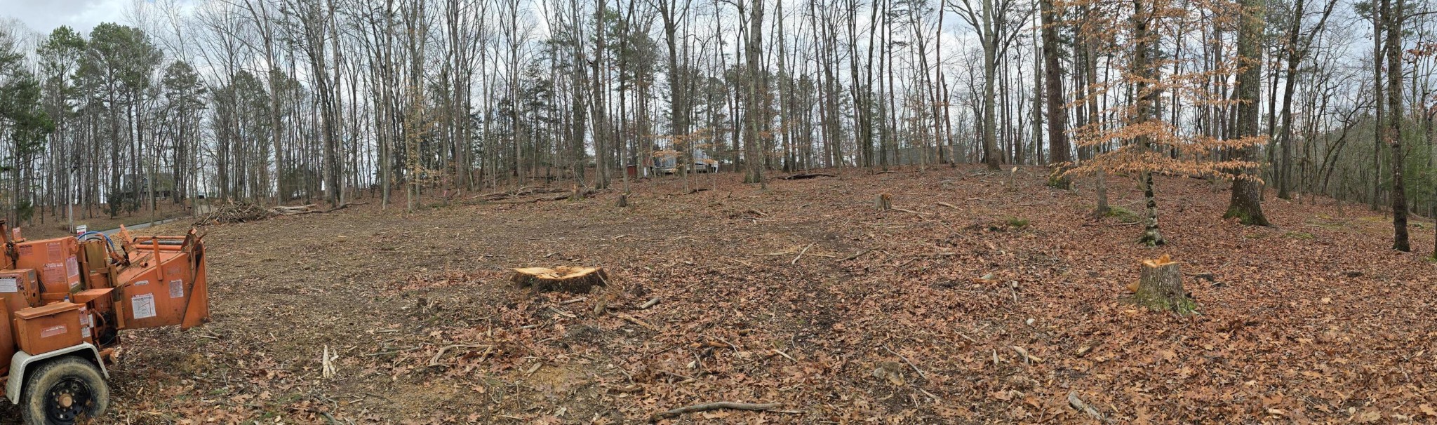 13316 Bellacoola Road Property Photo 11