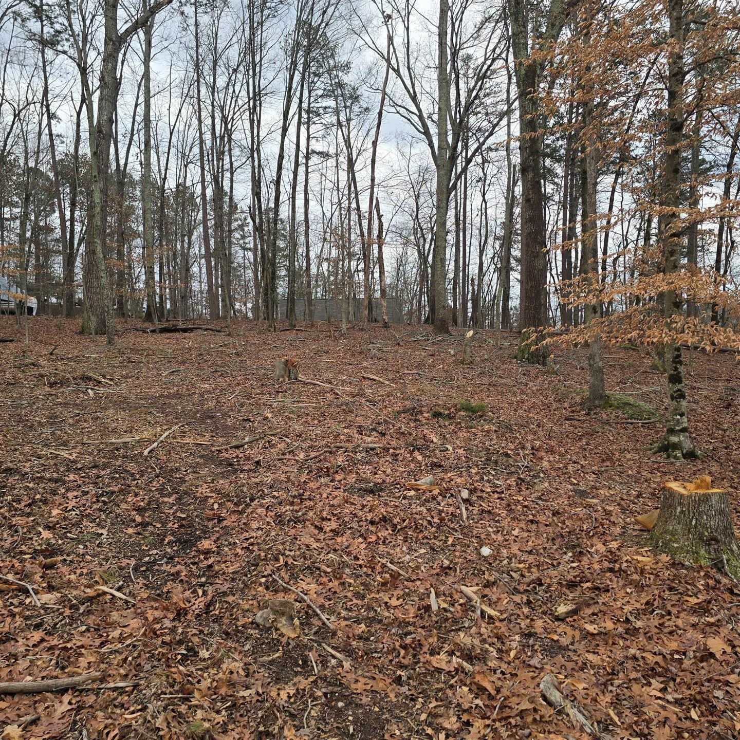 13316 Bellacoola Road Property Photo 20