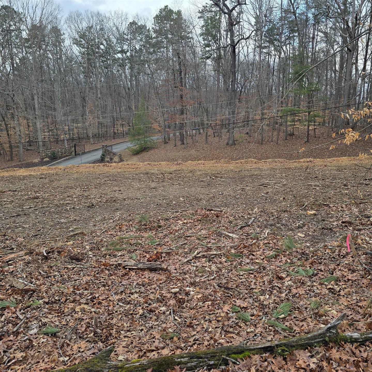 13316 Bellacoola Road Property Photo 22
