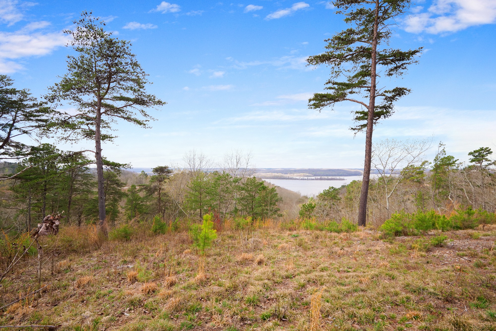 0 Old Skyline Drive Property Photo 2