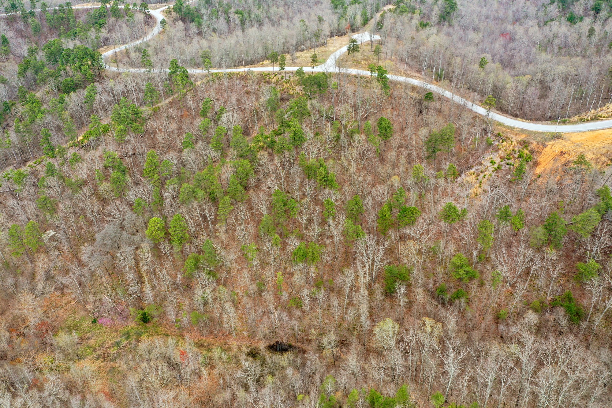 0 Old Skyline Drive Property Photo 5