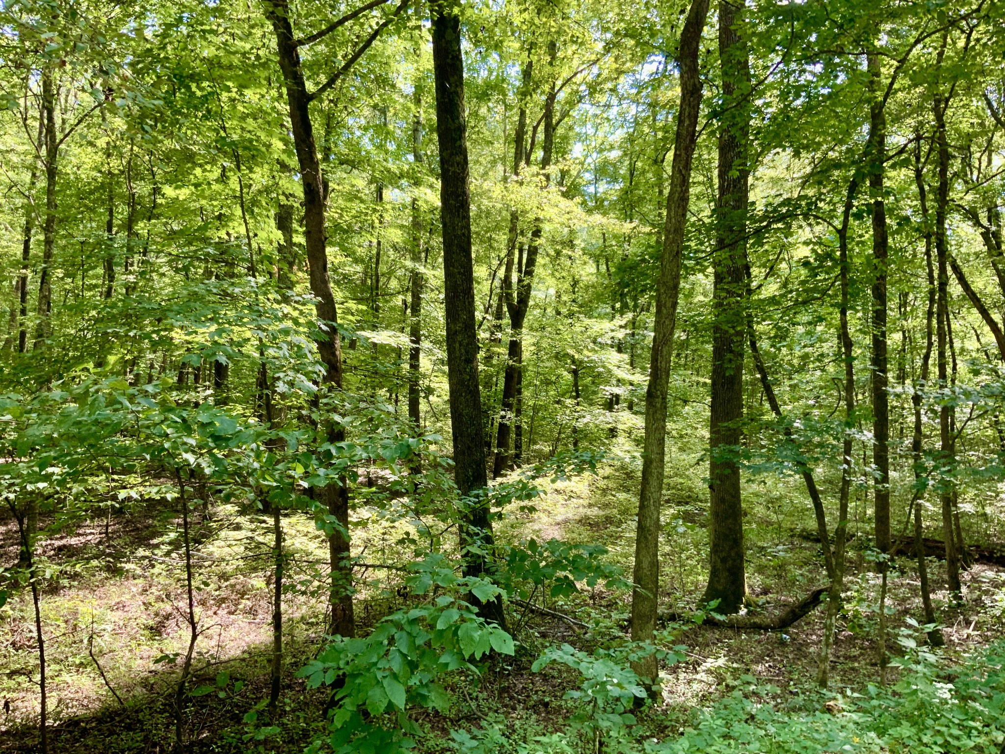 0 Greenbriar Road Property Photo 6