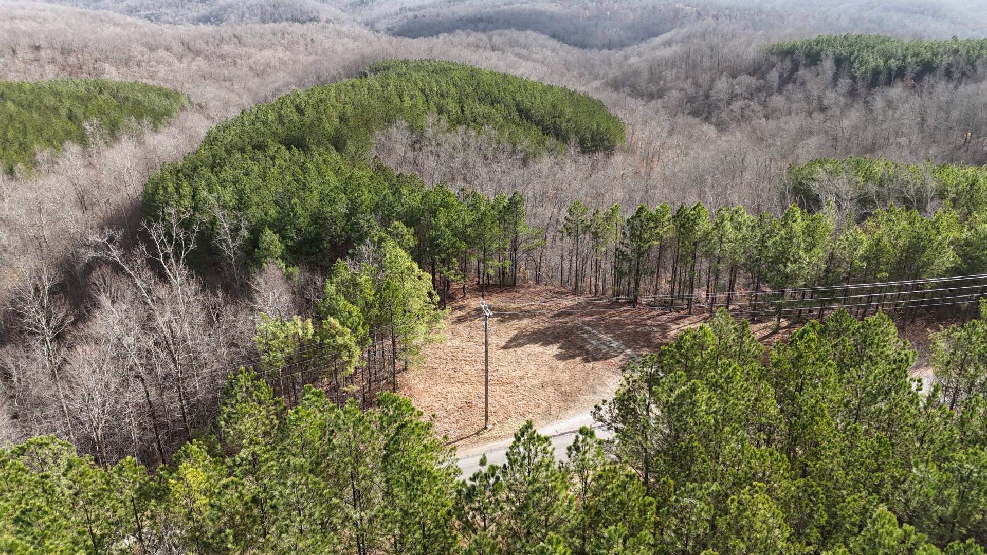 2932 Old Hohenwald Rd Property Photo 2