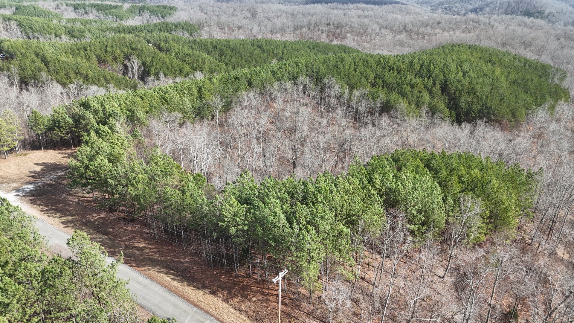 2932 Old Hohenwald Rd Property Photo 6
