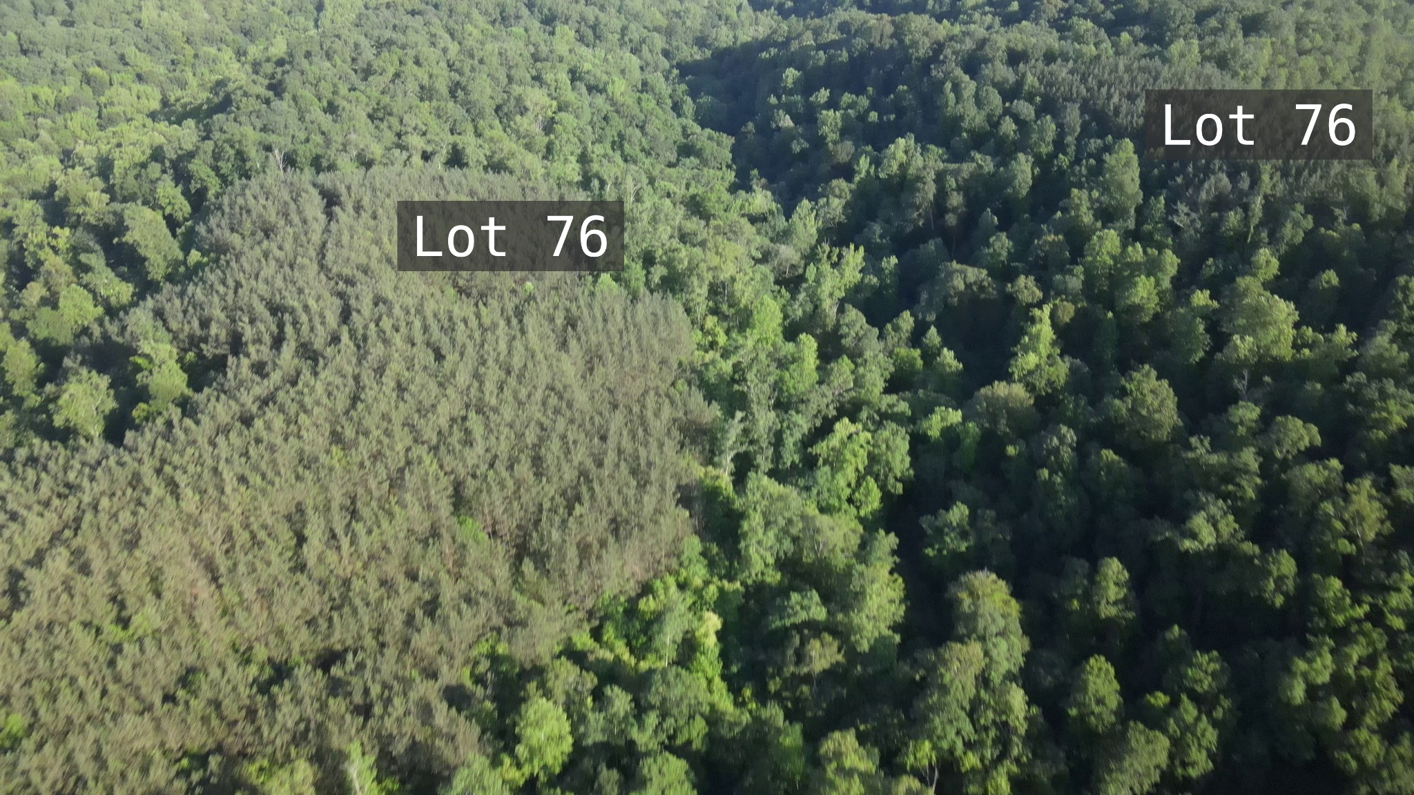 2932 Old Hohenwald Rd Property Photo 8