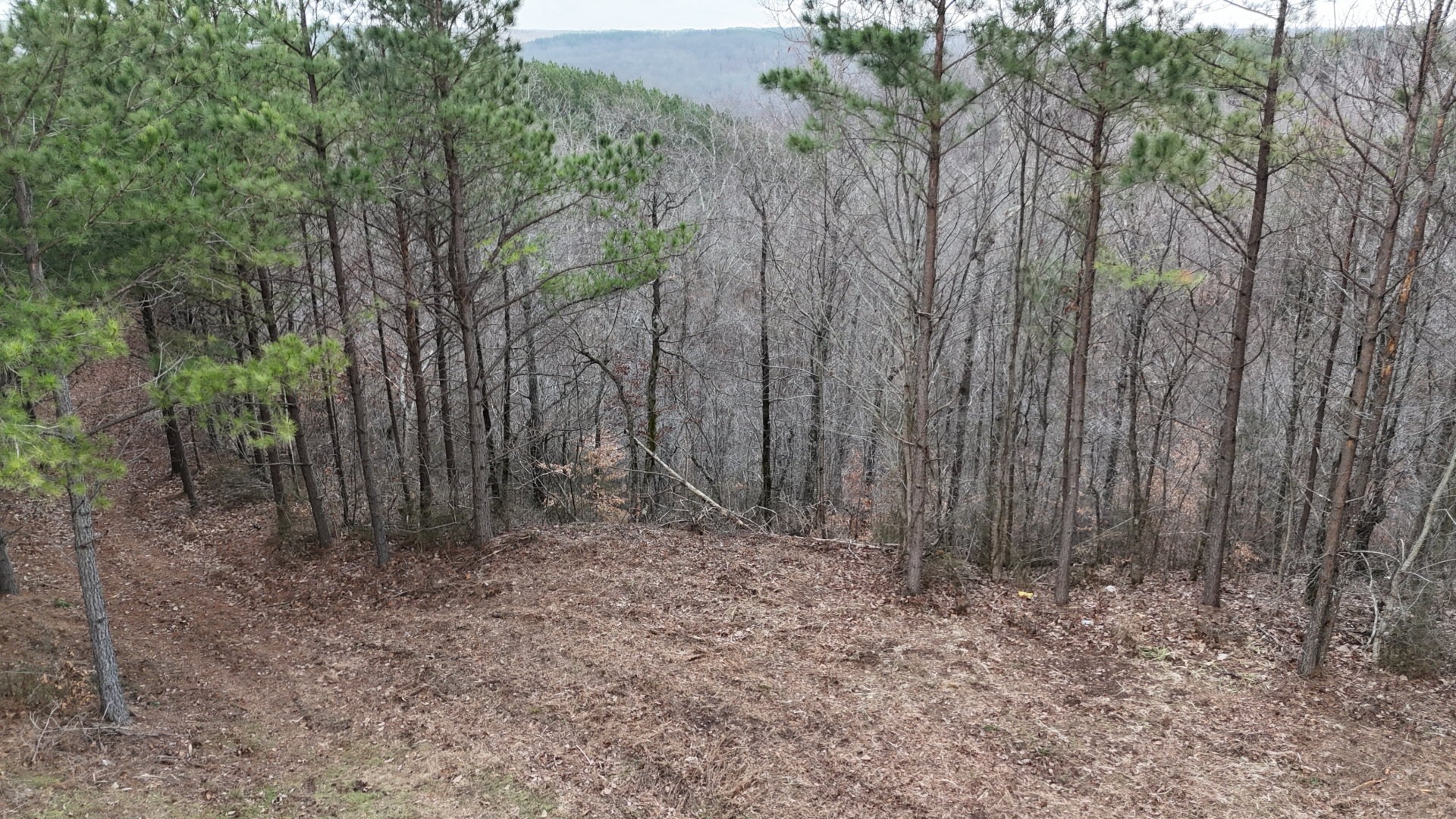 2932 Old Hohenwald Rd Property Photo 20