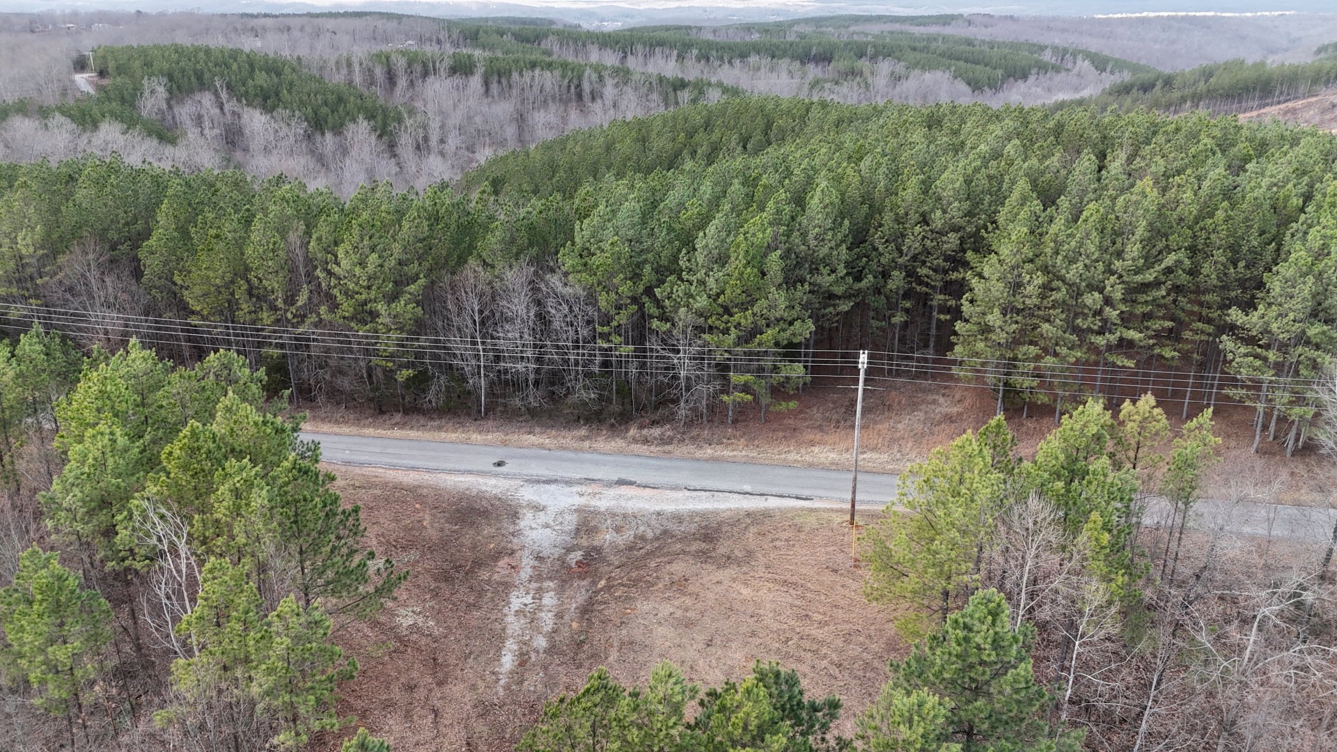 2932 Old Hohenwald Rd Property Photo 23