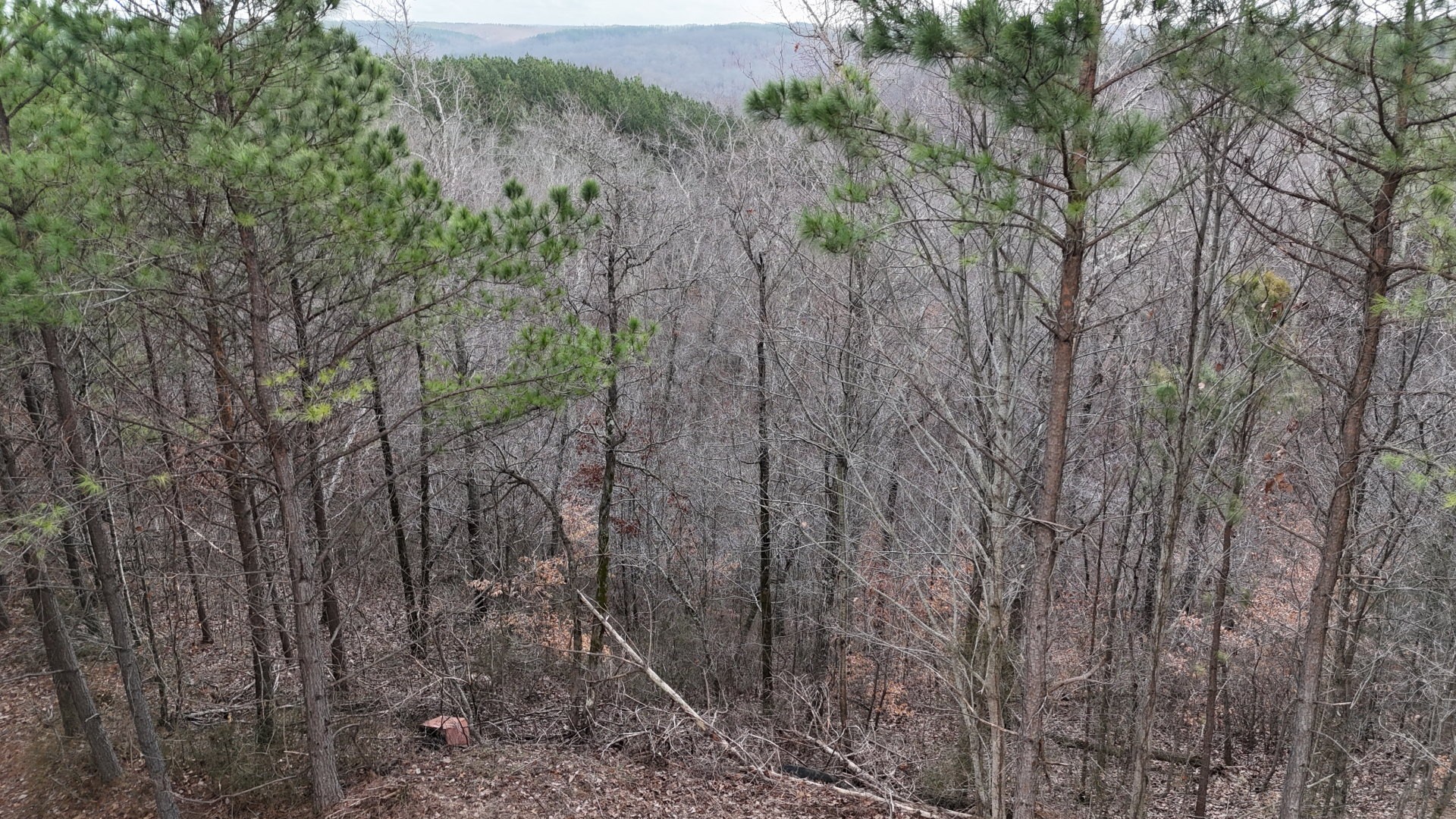 2932 Old Hohenwald Rd Property Photo 25