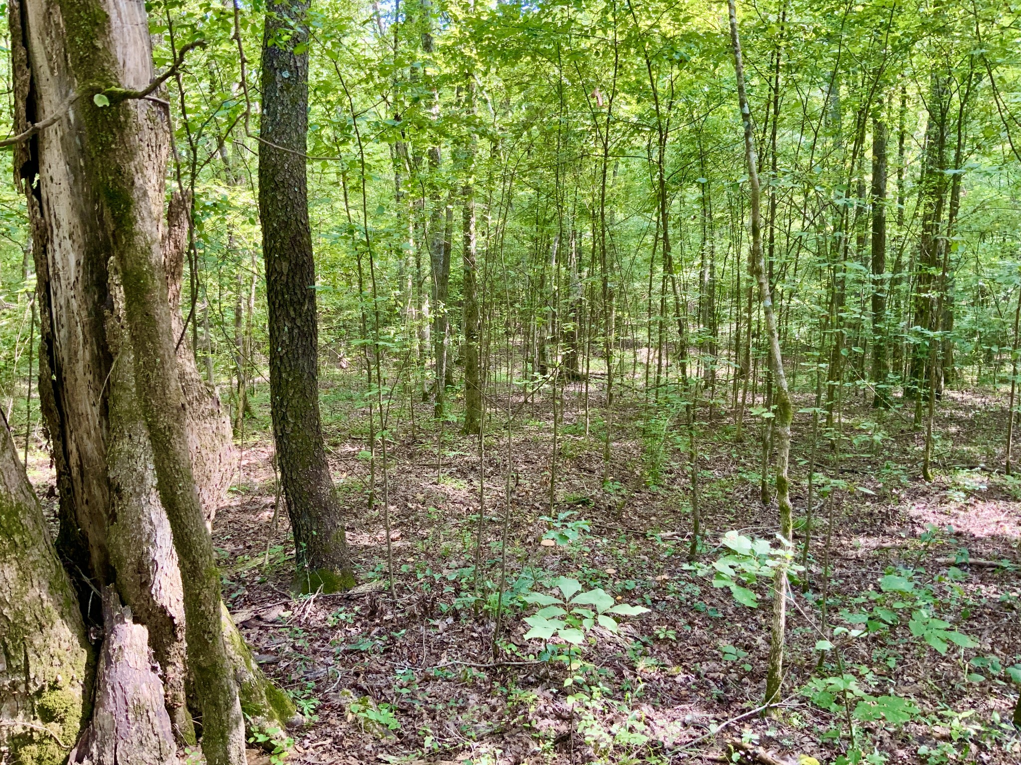 0 Greenbriar Road Property Photo 2