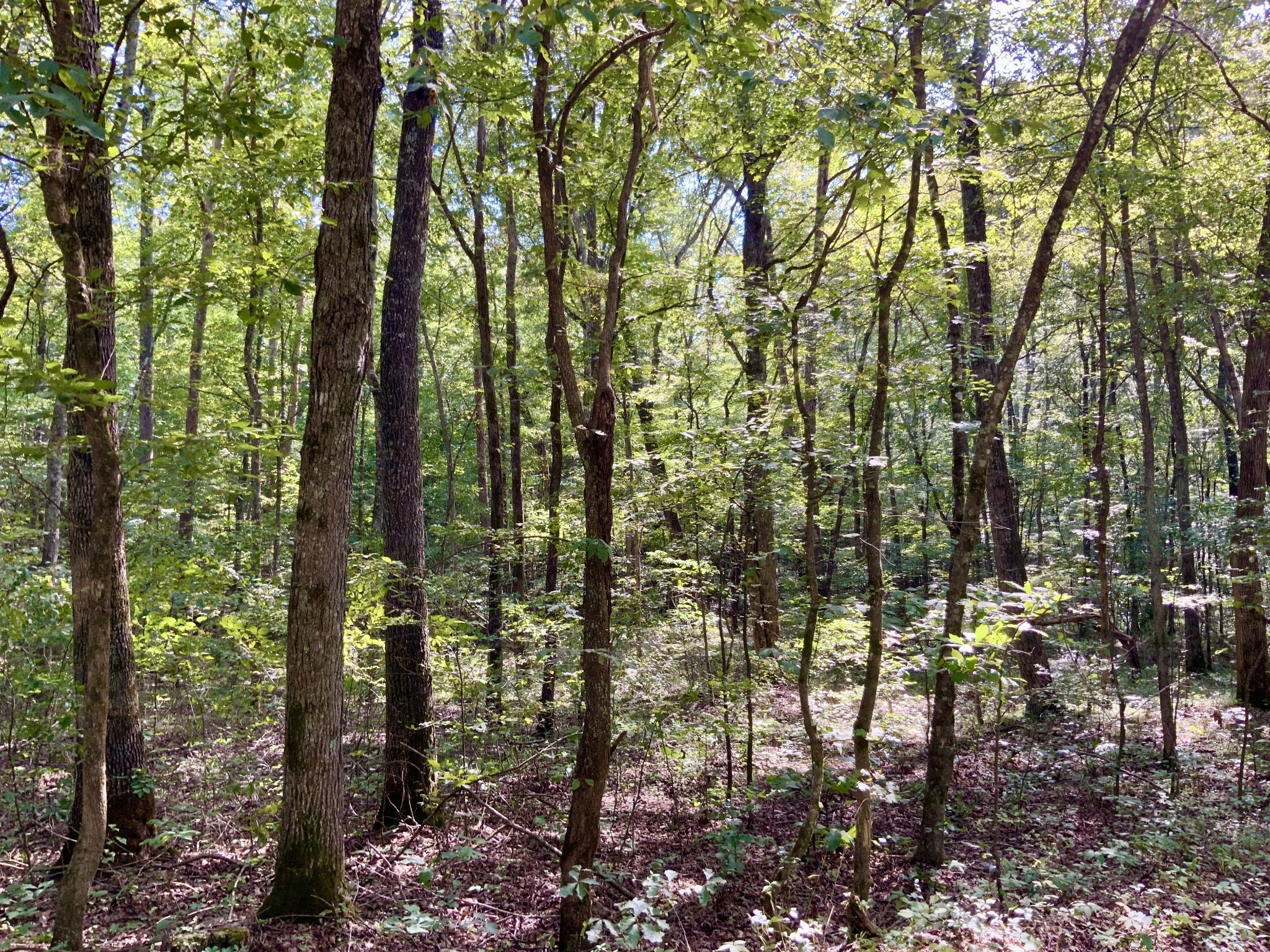 0 Greenbriar Road Property Photo 3