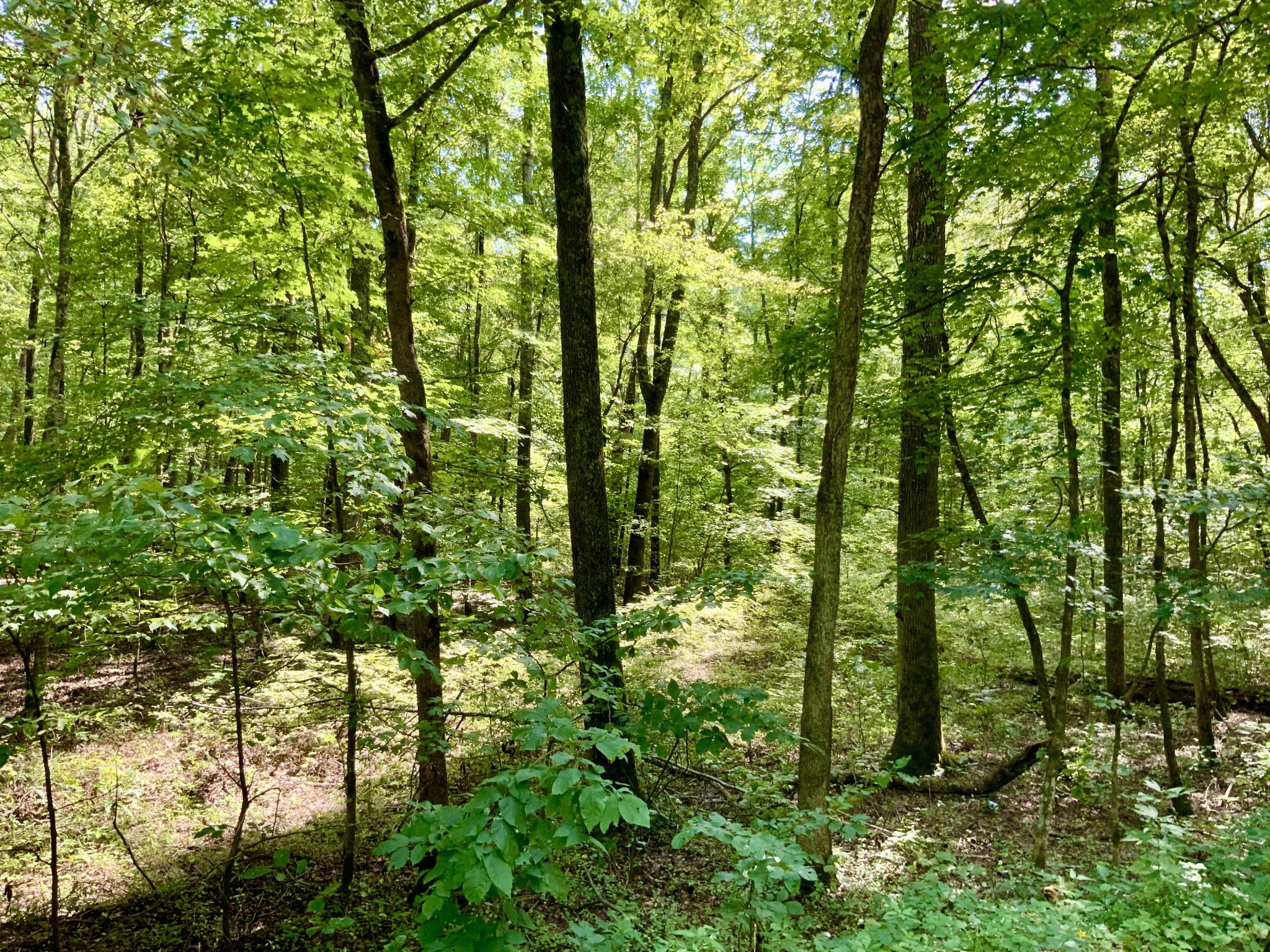 0 Greenbriar Road Property Photo 10