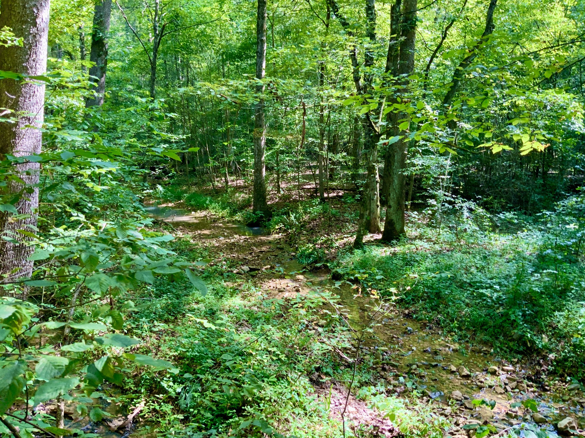 0 Greenbriar Road Property Photo 13