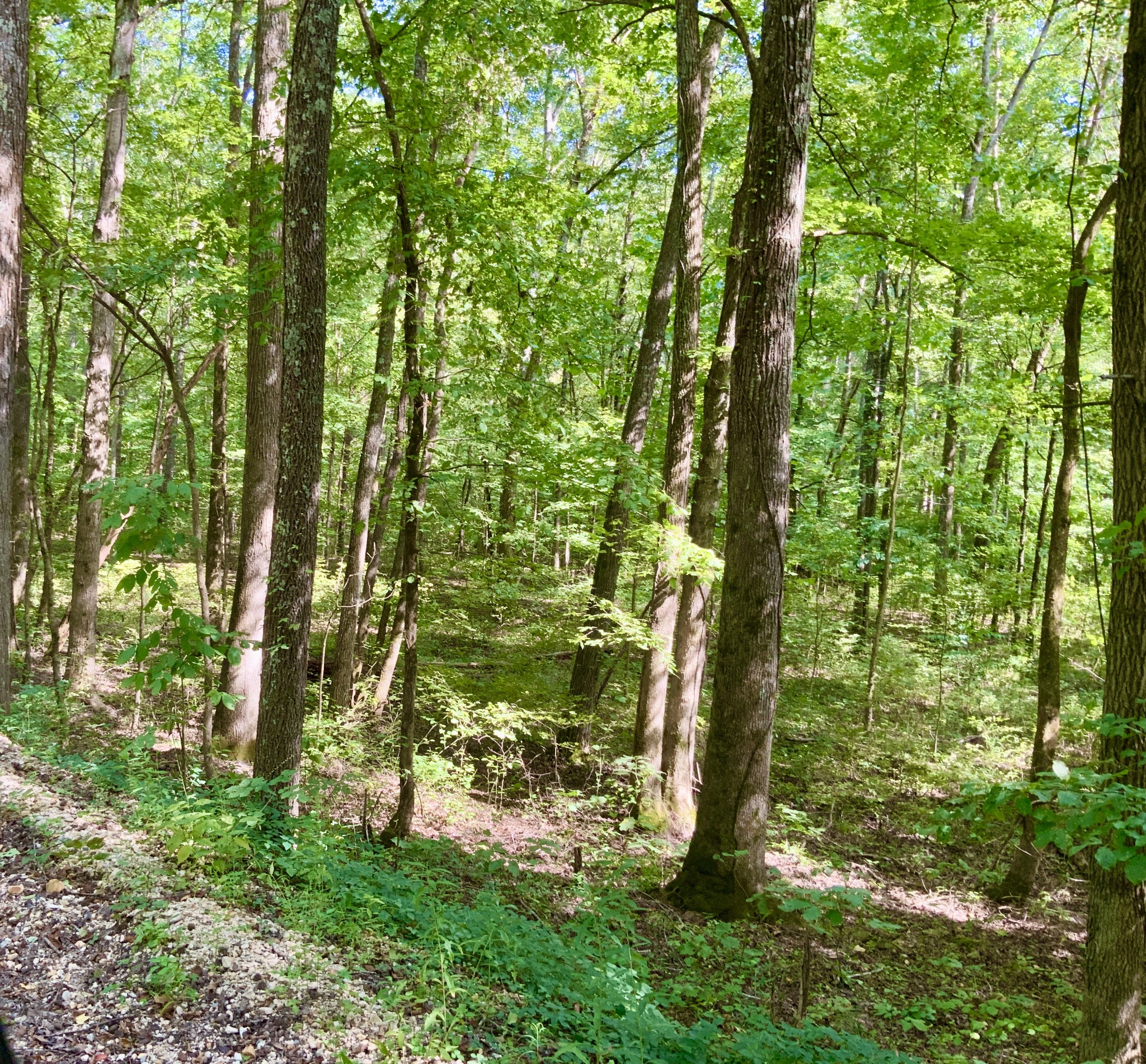 0 Greenbriar Road Property Photo 14