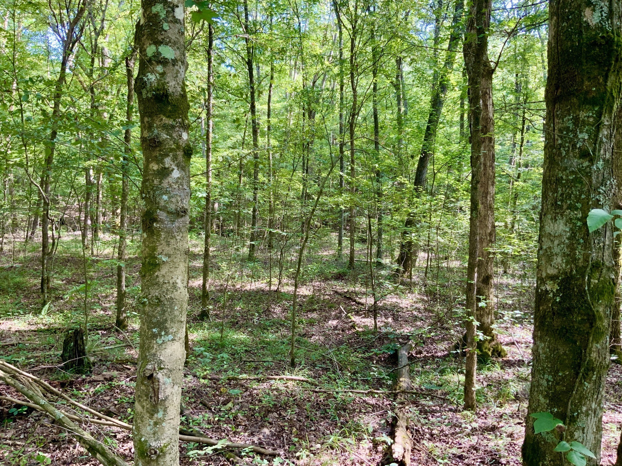 0 Greenbriar Road Property Photo 2