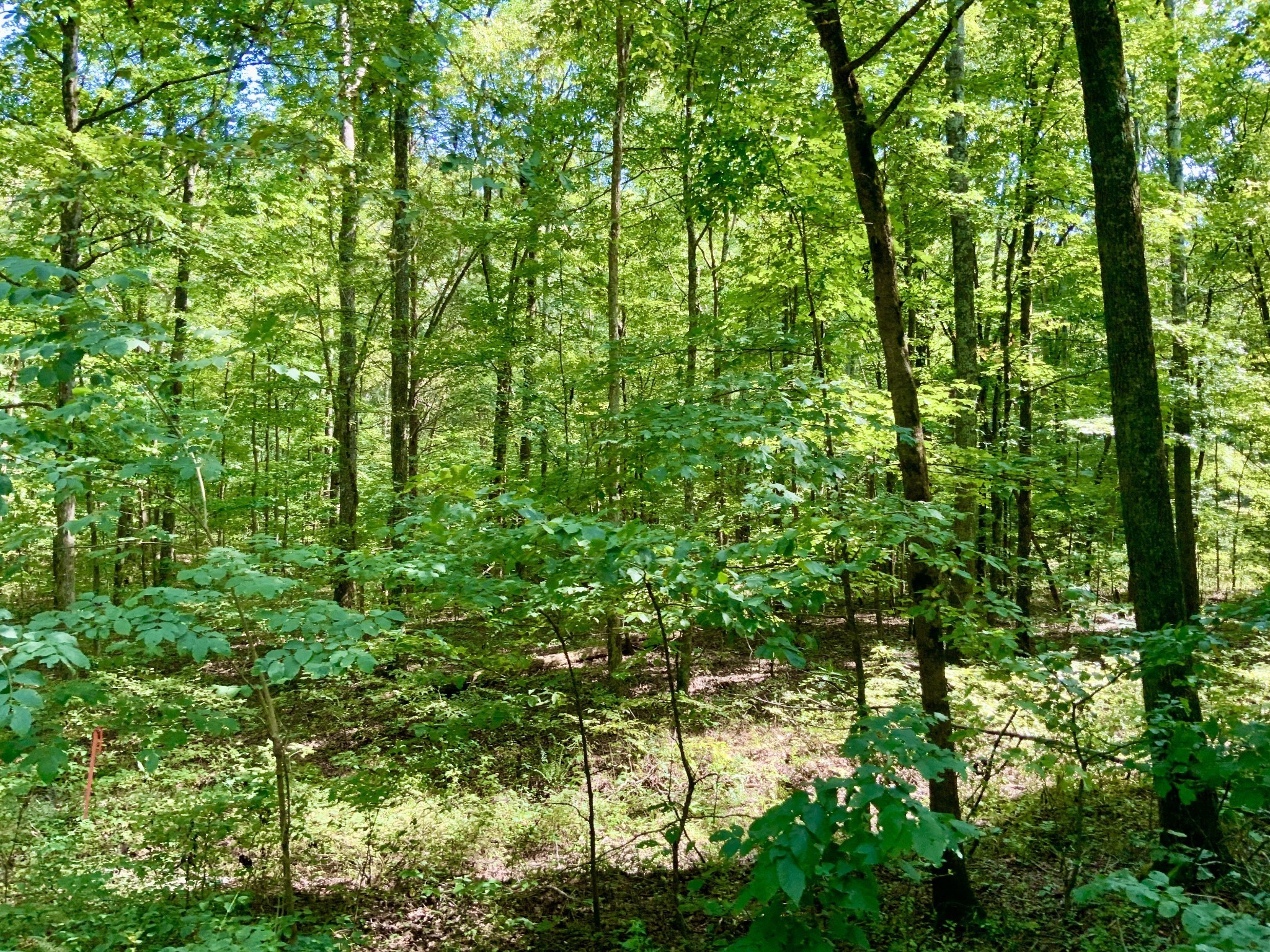 0 Greenbriar Road Property Photo 11