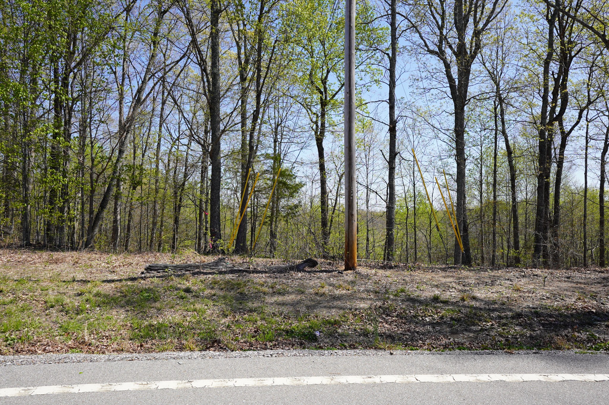 1 Highway 232 Property Photo 2