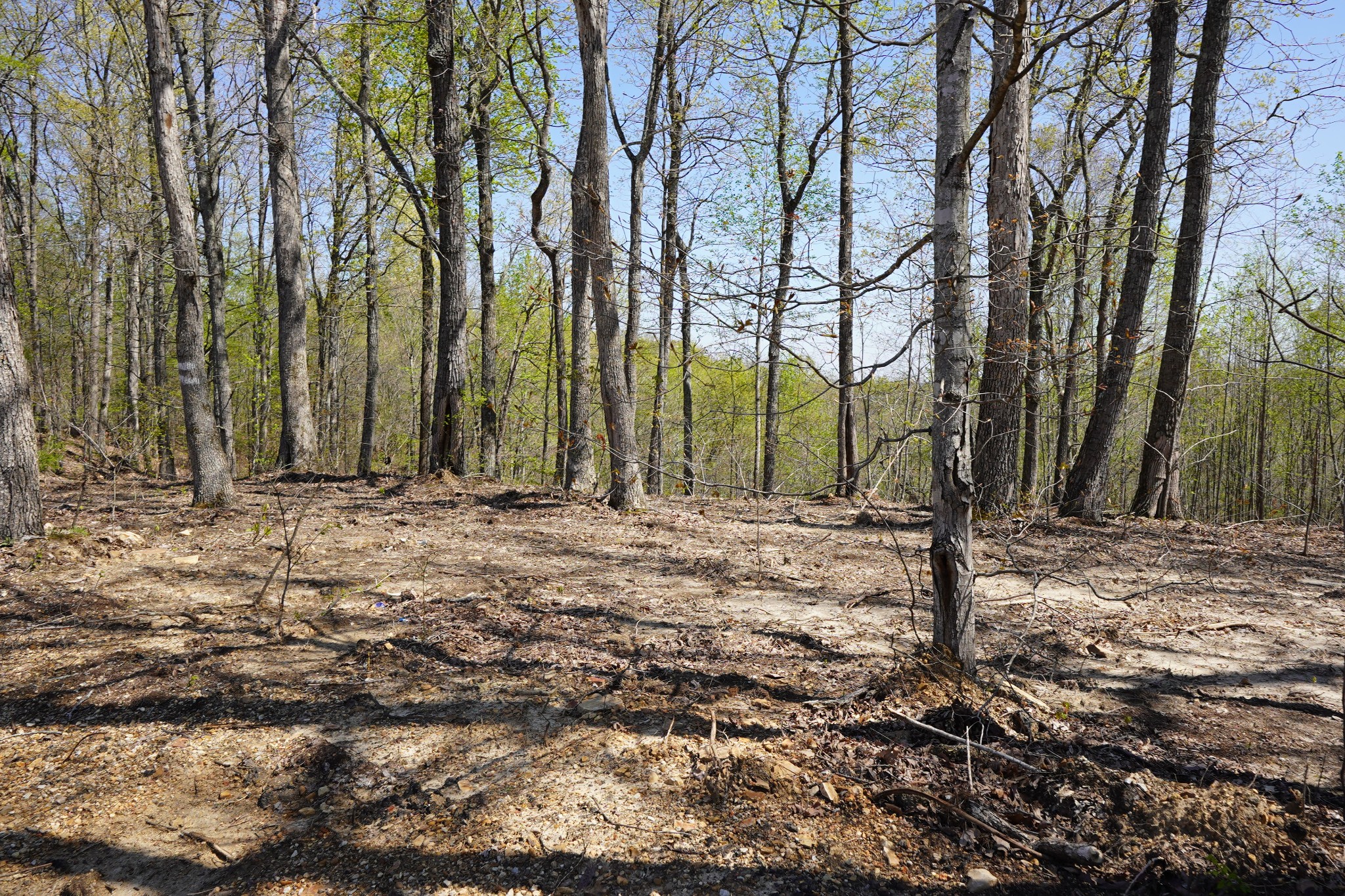 1 Highway 232 Property Photo 4