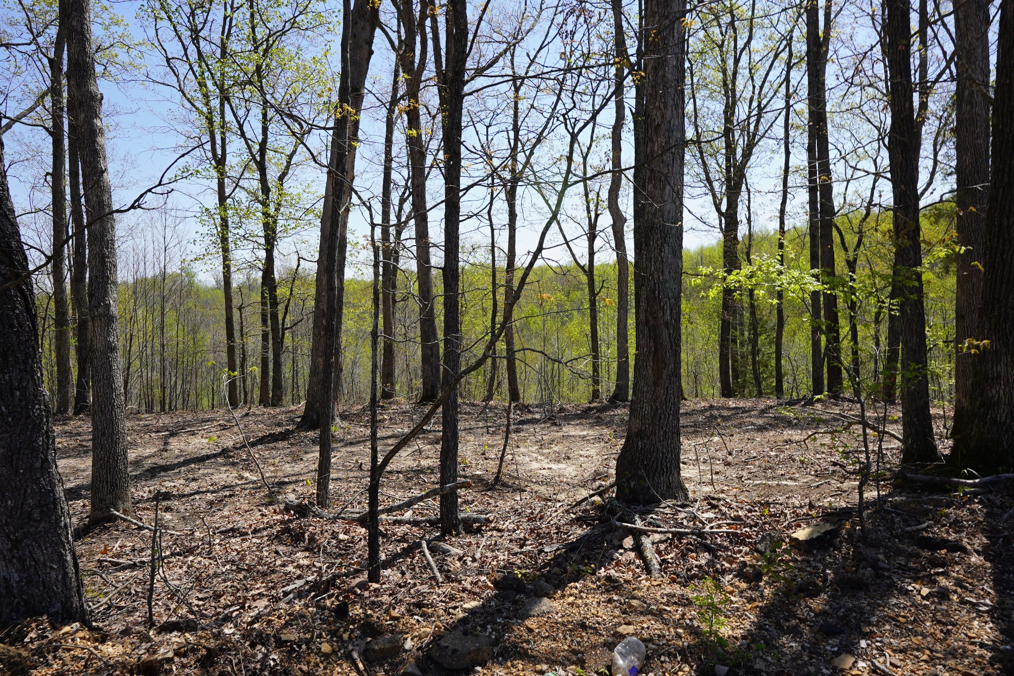 1 Highway 232 Property Photo 5