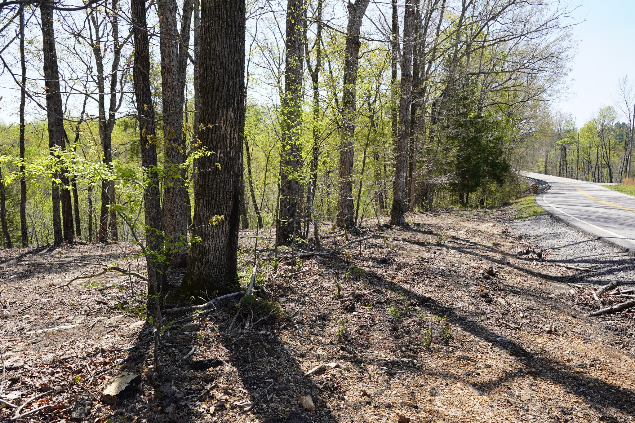 1 Highway 232 Property Photo 6