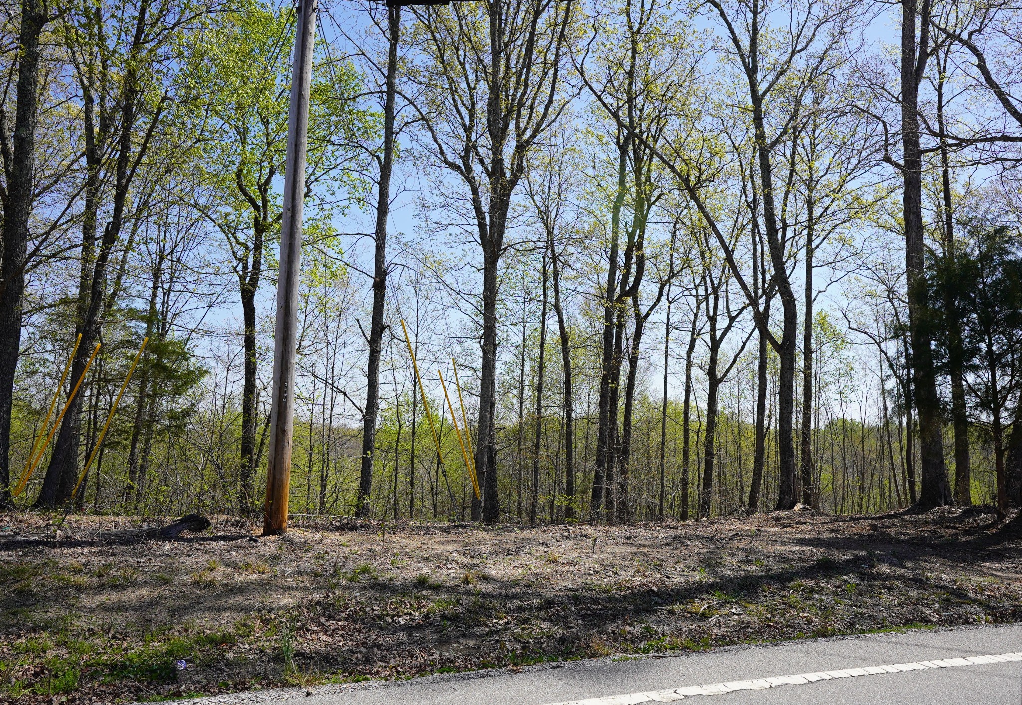 1 Highway 232 Property Photo 7