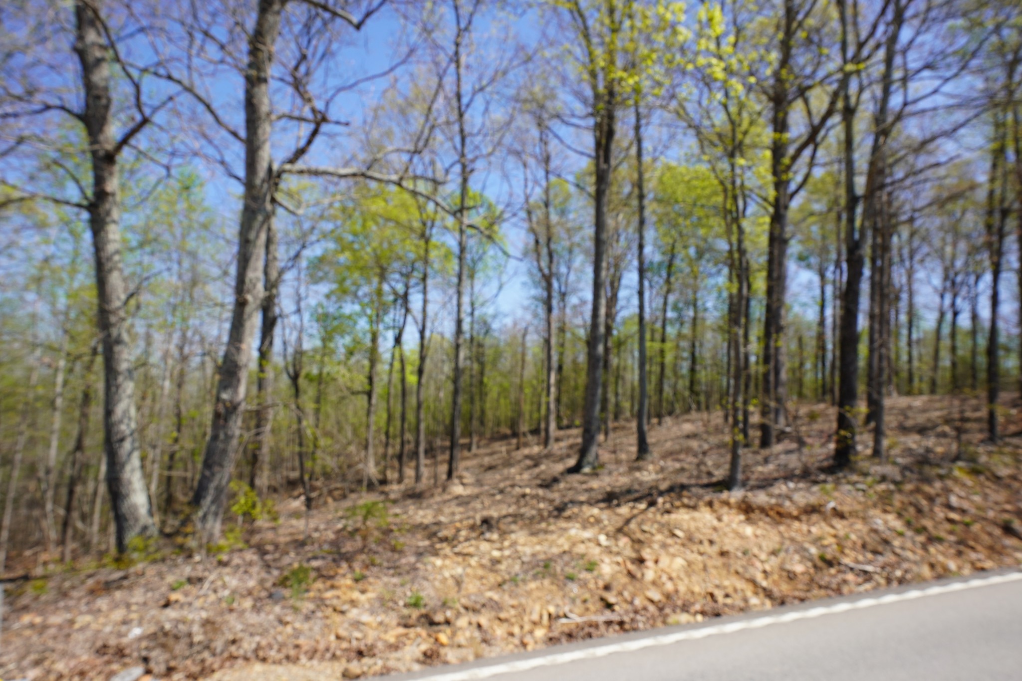 2 Highway 232 Property Photo 1