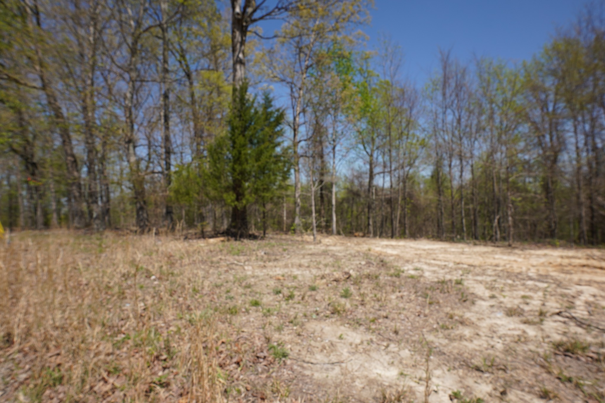 3 Highway 232 Property Photo 2