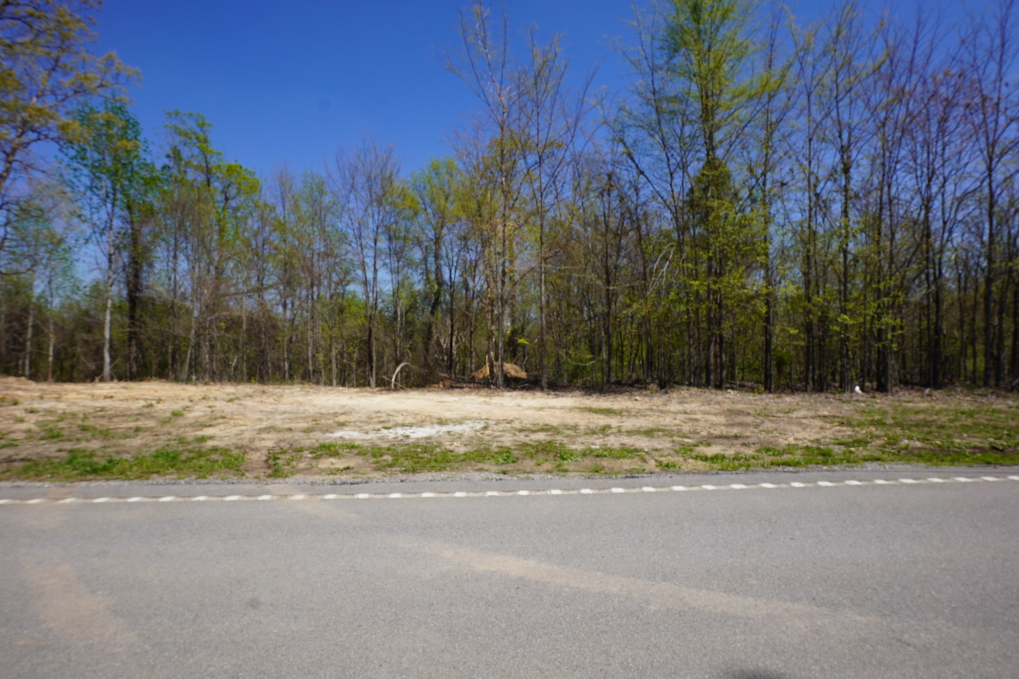 3 Highway 232 Property Photo 4