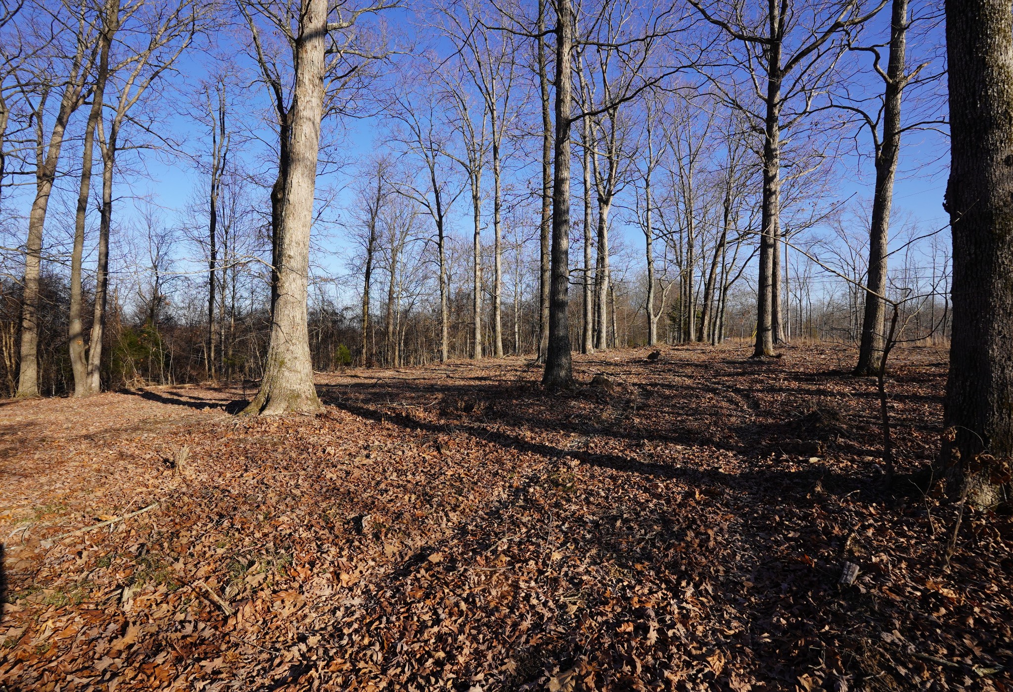 3 Highway 232 Property Photo 12