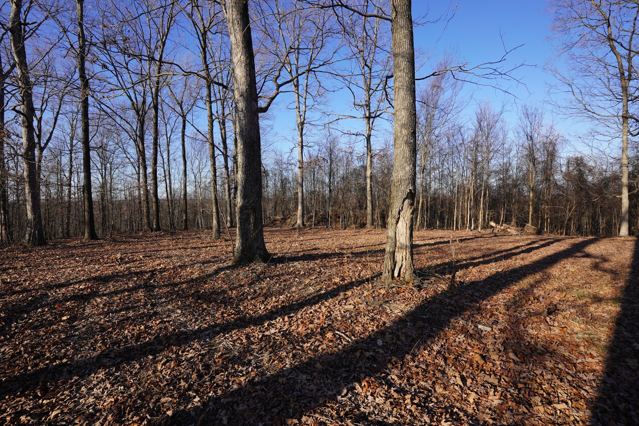 3 Highway 232 Property Photo 13