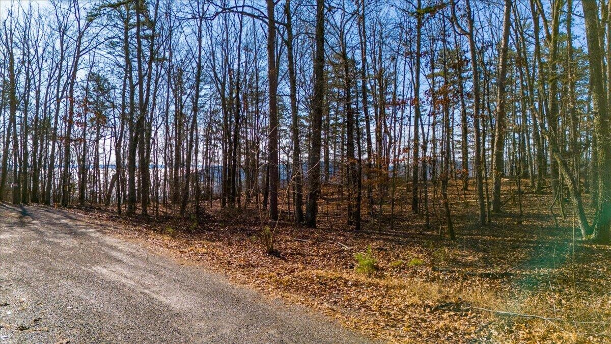 0 Old Harris Turnpike Road Property Photo 3