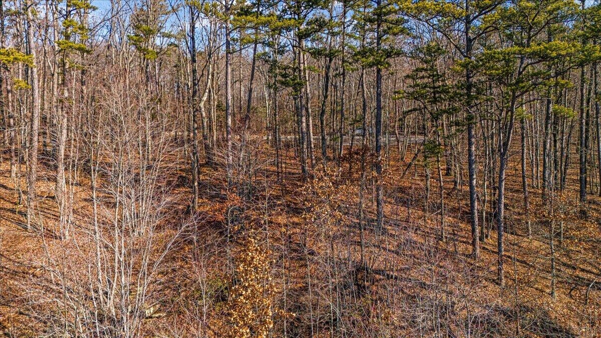 0 Old Harris Turnpike Road Property Photo 4