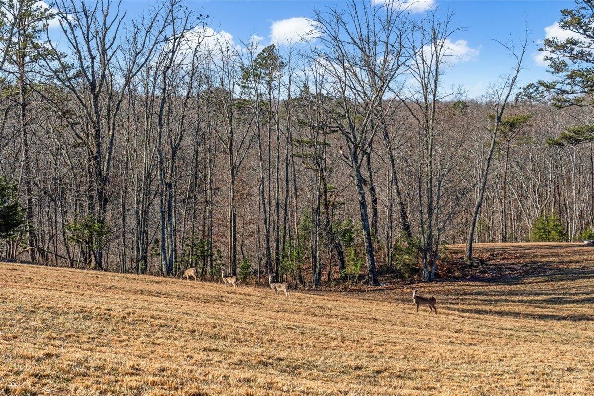 0 Old Harris Turnpike Road Property Photo 14