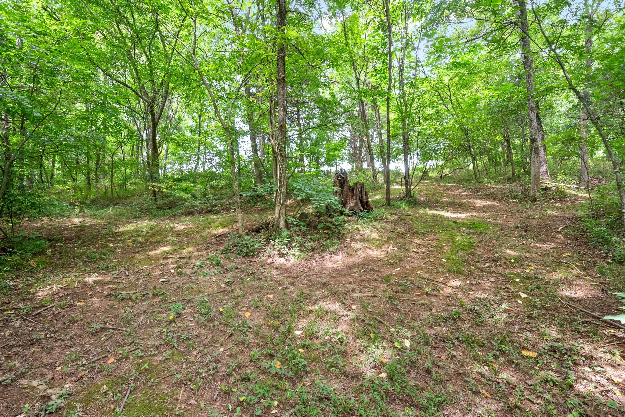 4592 Abednego Rd Property Photo 63