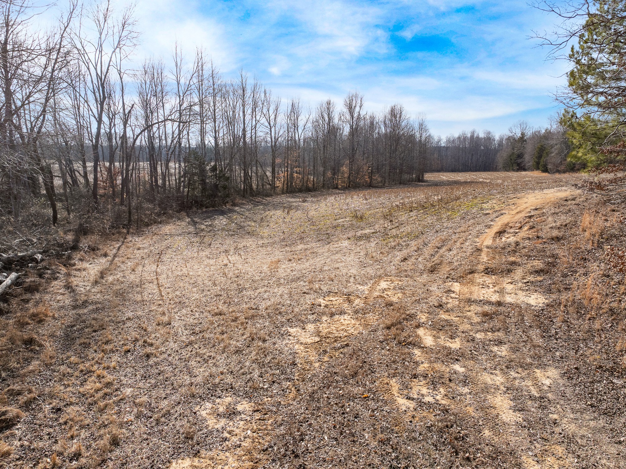 0 Baudy James Rd Property Photo 16