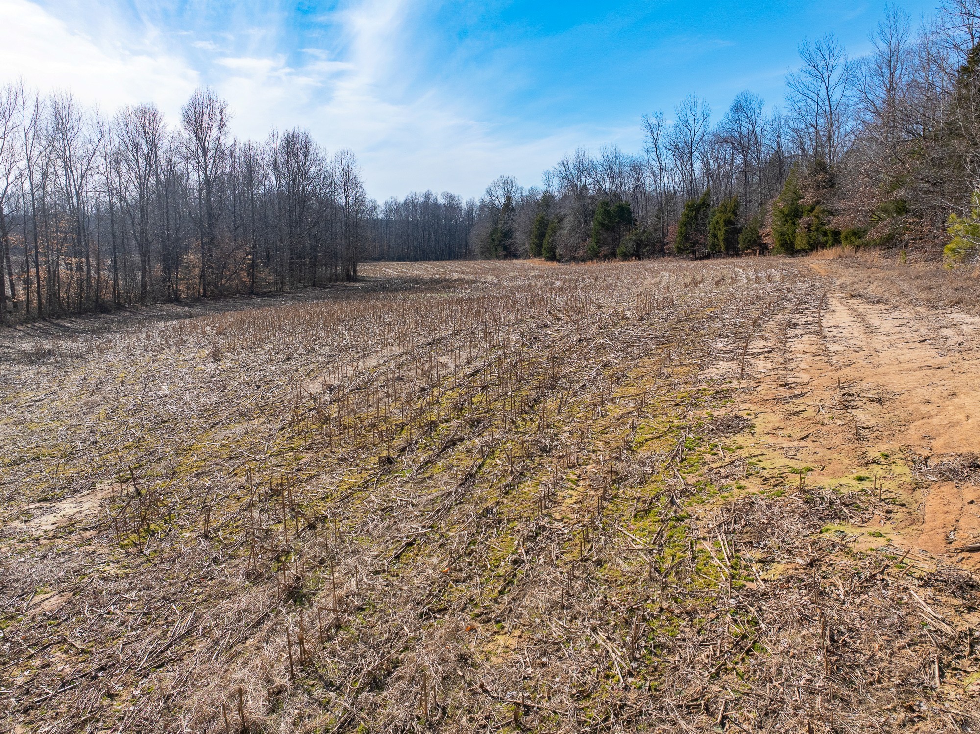 0 Baudy James Rd Property Photo 17