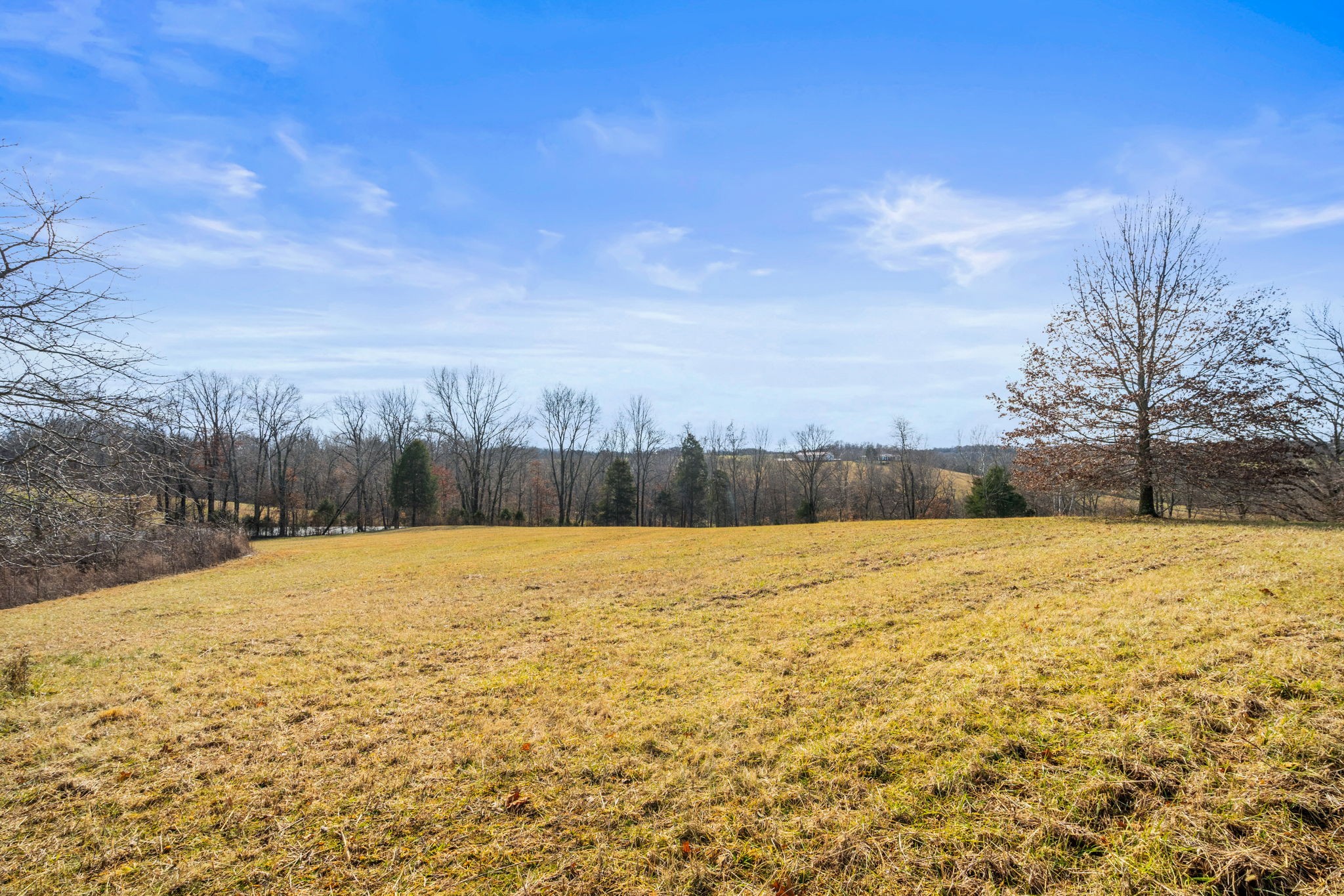 0 Buzzard Creek Road Property Photo 3