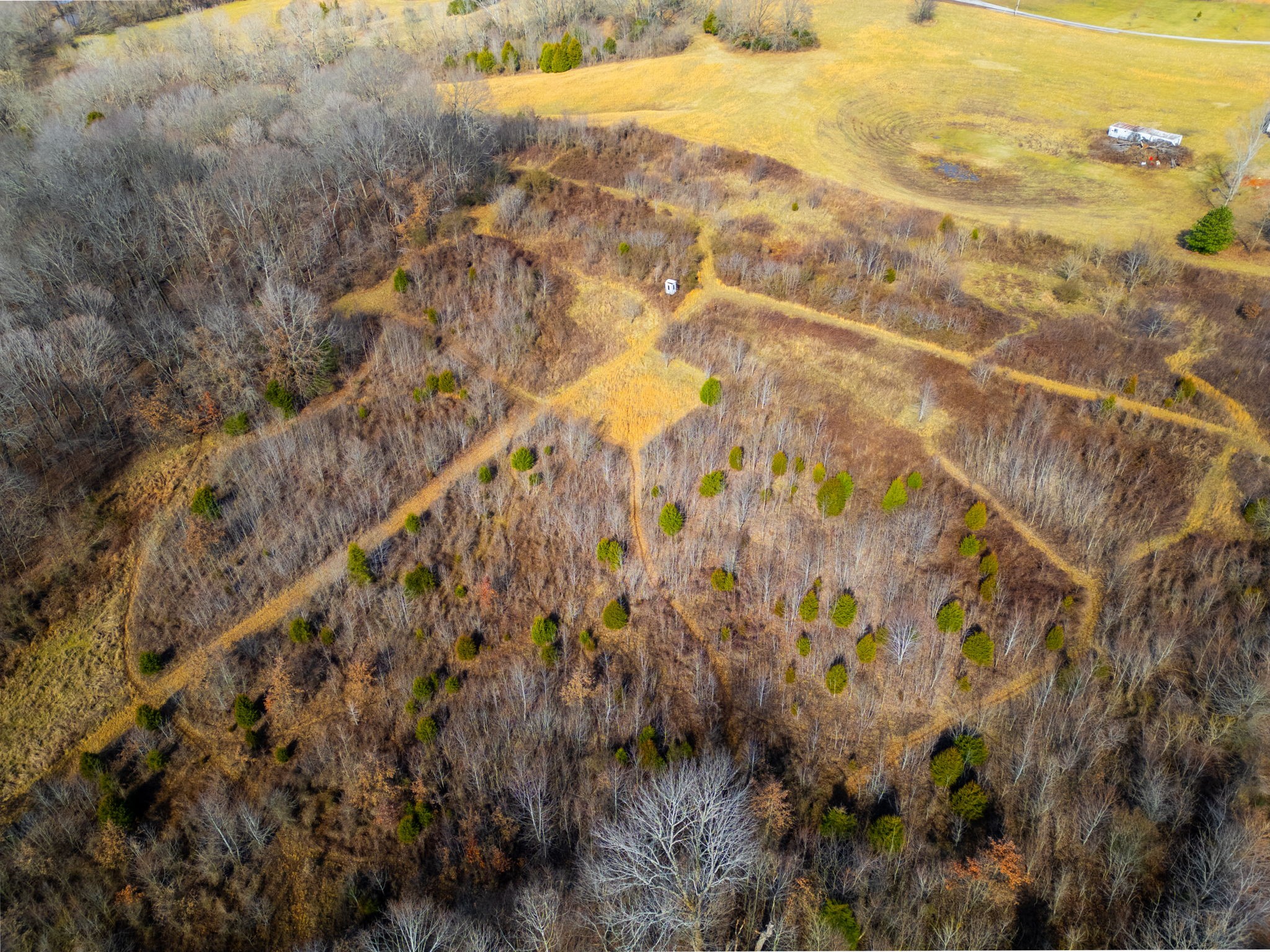 0 Buzzard Creek Road Property Photo 8