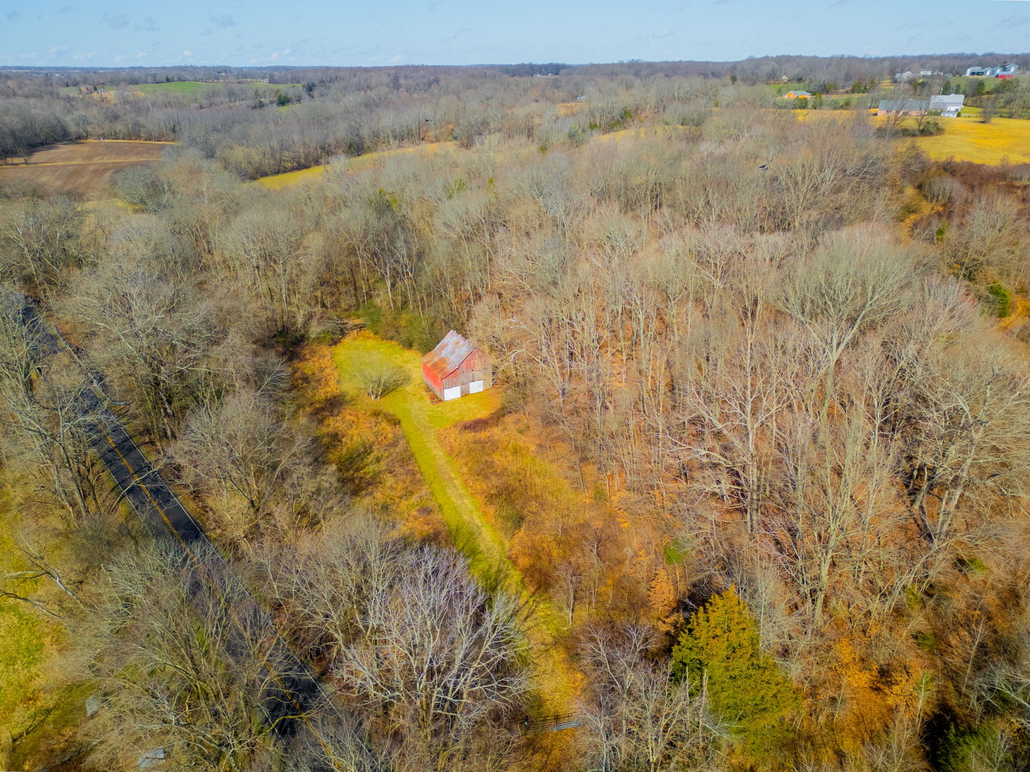 0 Buzzard Creek Road Property Photo 9