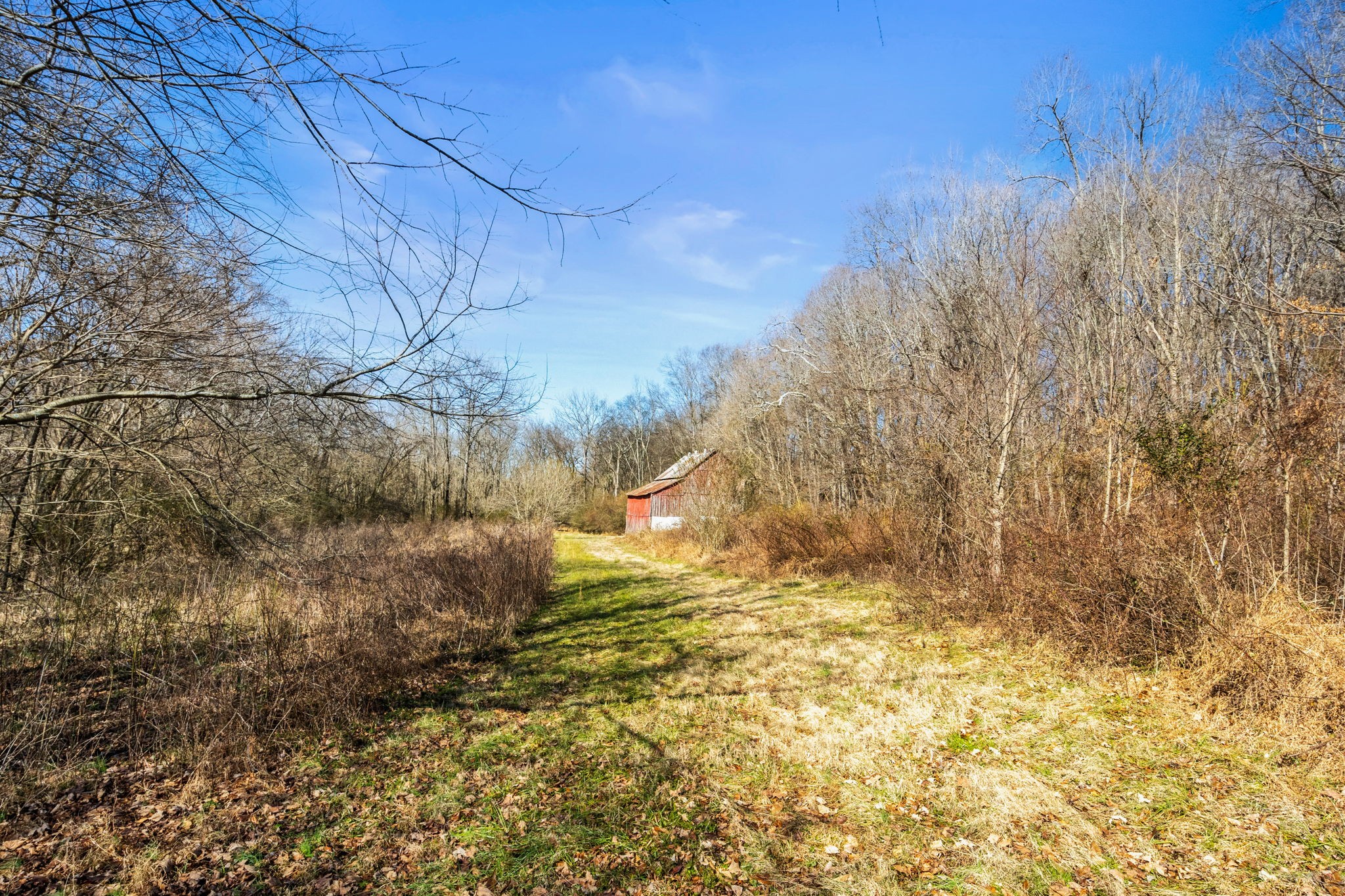 0 Buzzard Creek Road Property Photo 11