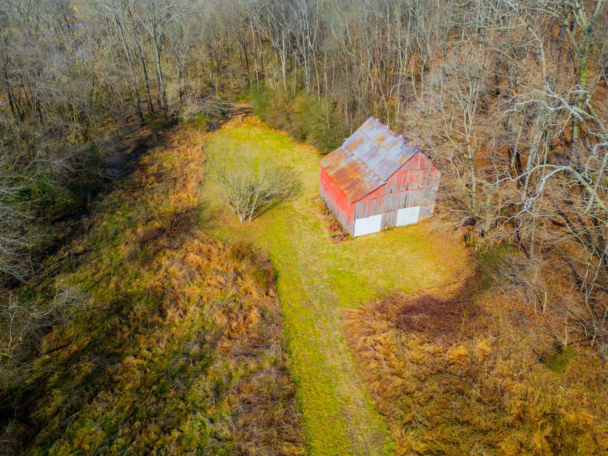 0 Buzzard Creek Road Property Photo 12