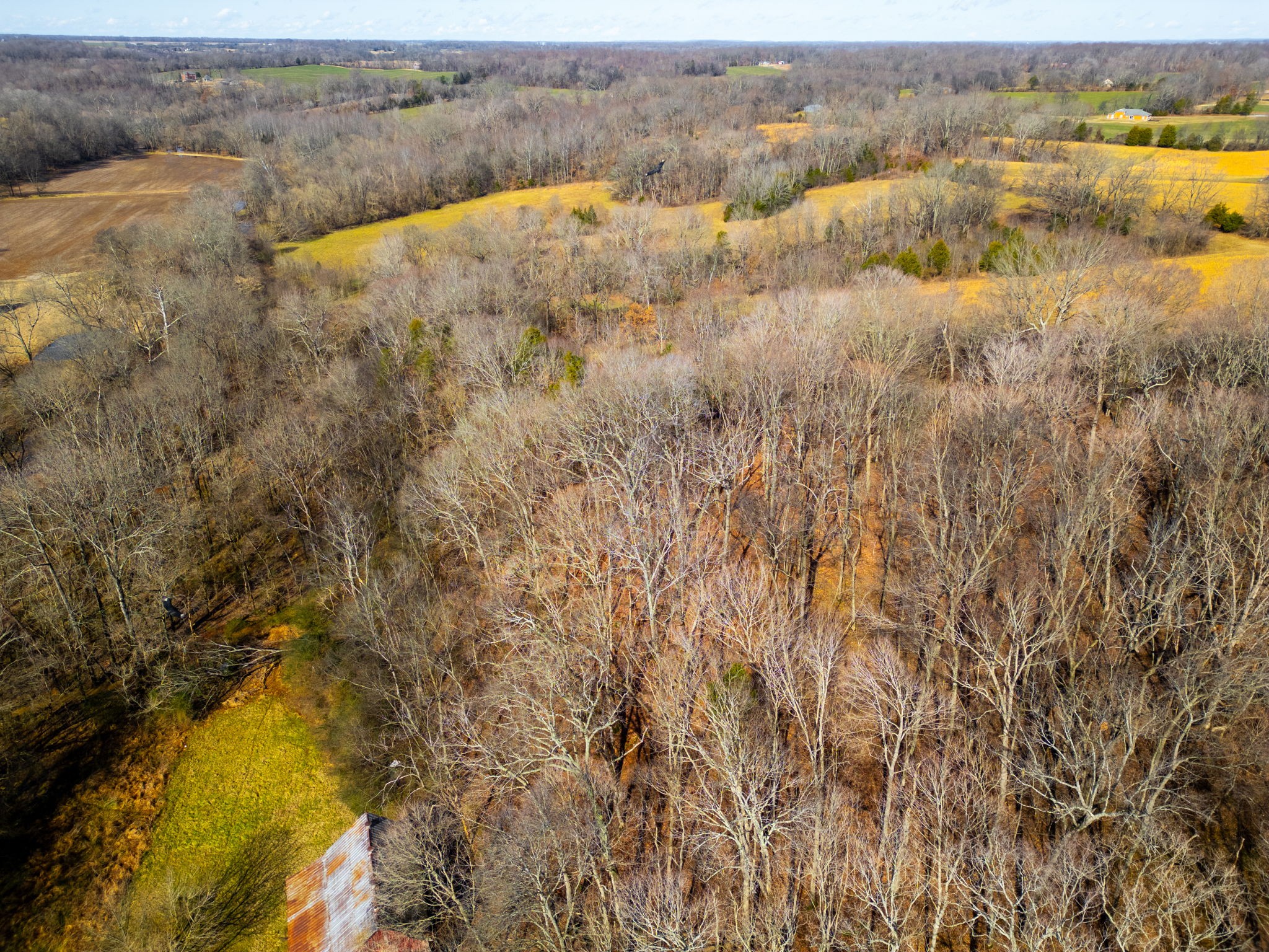 0 Buzzard Creek Road Property Photo 13