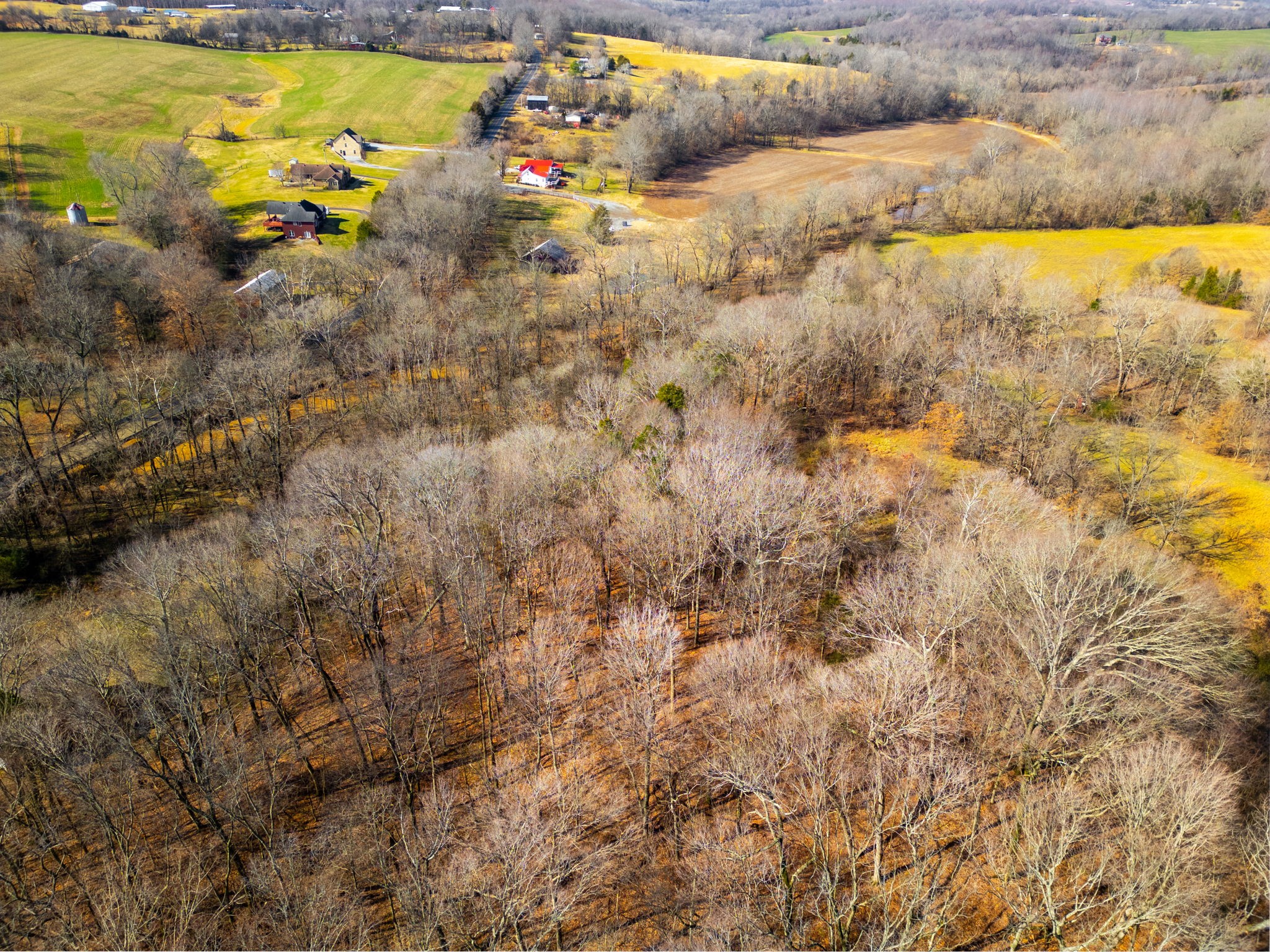 0 Buzzard Creek Road Property Photo 14