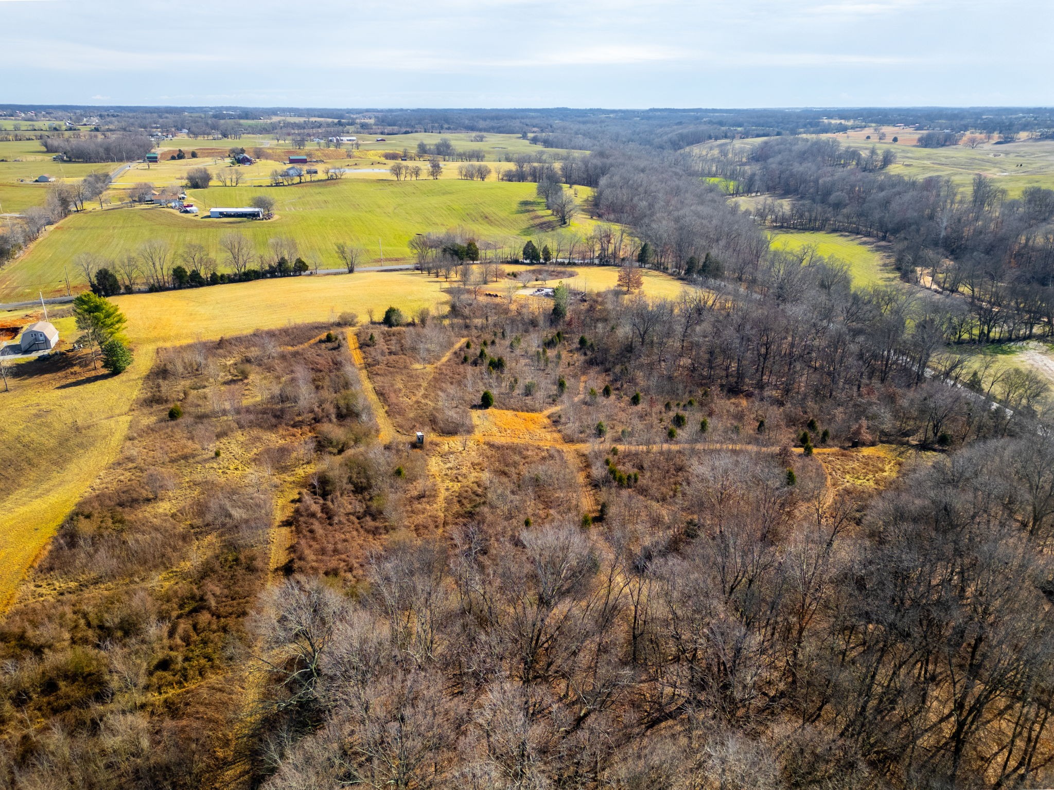 0 Buzzard Creek Road Property Photo 15